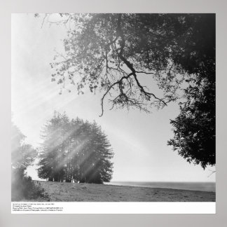 Sunny Day, Universiteit van Californië, Santa Cruz Poster