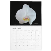 Sunny Daze Calendrier photo des fleurs (Jan 2026)