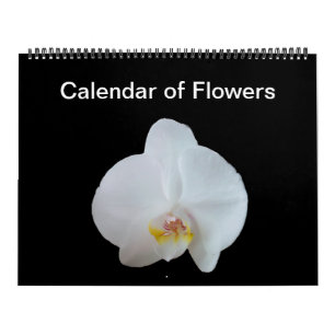 Sunny Daze Photo Calendar of Flowers Kalender