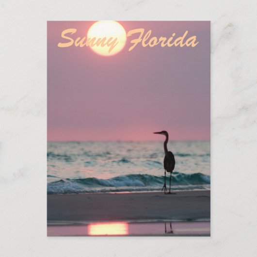 Sunny Florida Briefkaart (Voorkant)