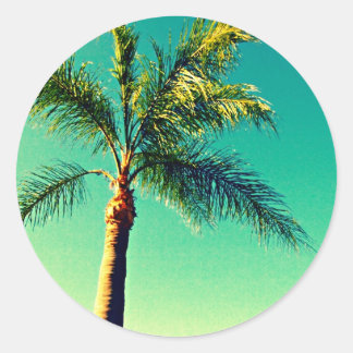 Sunny Florida Palm Tree Sky Afbeelding Ronde Sticker