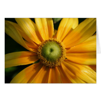 Sunny Flower