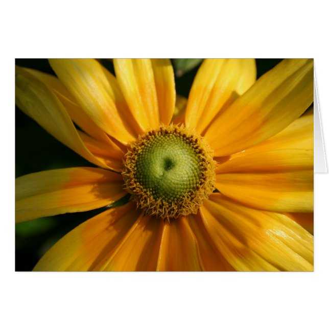 Sunny Flower (Voorkant Horizontaal)