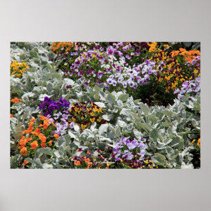 Sunny Flower Garden Poster