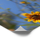 "Sunny Flowers" Poster (Hoek)