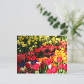 Sunny Garden Briefkaart (Staand voorkant)