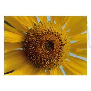 Sunny Giant Yellow Sunflower Wenskaart