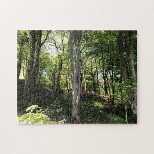 Sunny Glade. Zonnestralen in het bos landschap. Legpuzzel (Horizontaal)