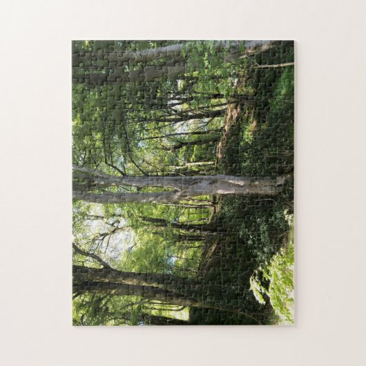Sunny Glade. Zonnestralen in het bos landschap. Legpuzzel (Verticaal)