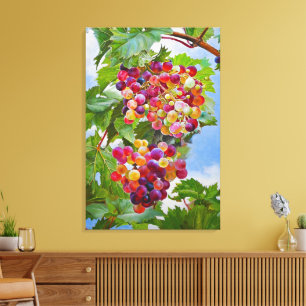 Sunny Grapevine - Kleurrijke Druiven Stilleven Ver Canvas Afdruk