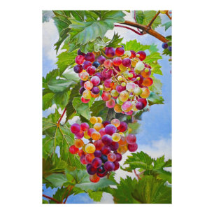 Sunny Grapevine - Kleurrijke Druiven Stilleven Ver Foto Afdruk