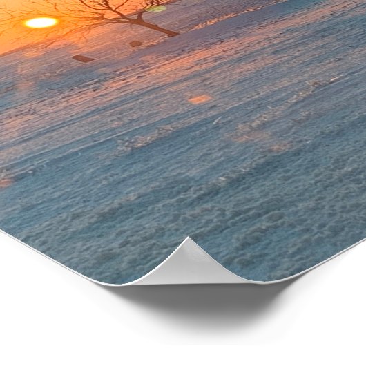 Sunny Graves Poster (Hoek)