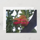 SUNny Light'Bulbs - Briefkaarten ¡ :3 (Voorkant / Achterkant)