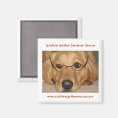 Sunny Magnet - Sunshine Golden Retriever Secourt.. (Recto/Verso)