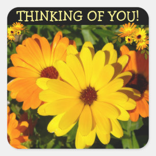 Sunny Marigold Thinking of You Vierkante Sticker