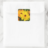 SUNNY MARIGOLDS VIERKANTE STICKER (Tas)