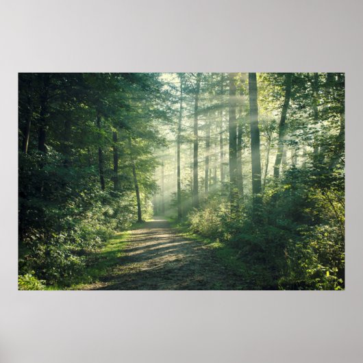 Sunny Oktober Morning in Hamburg Poster (Voorkant)