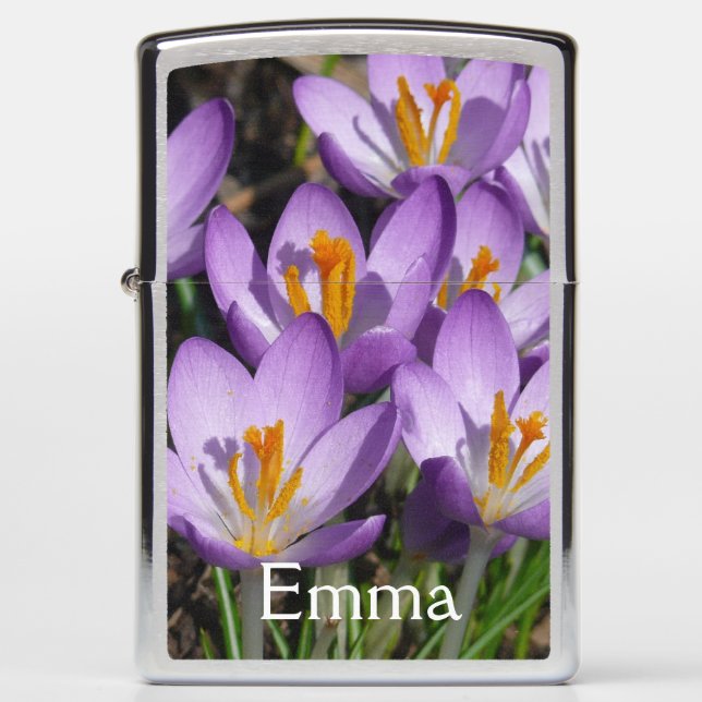 Sunny Paarse Crocuses (Voorkant)