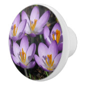 Sunny Paarse Crocuses Keramische Knop (Rechts)