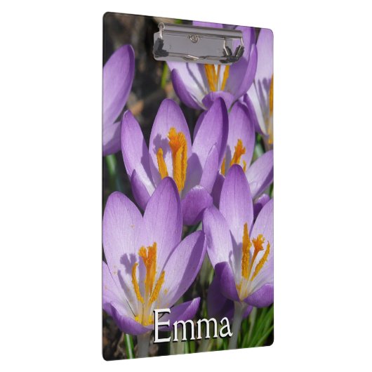 Sunny Paarse Crocuses Klembord (Rechts)