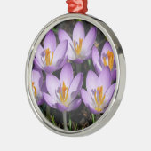 Sunny Paarse Crocuses Metalen Ornament (Links)