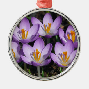 Sunny Paarse Crocuses Metalen Ornament