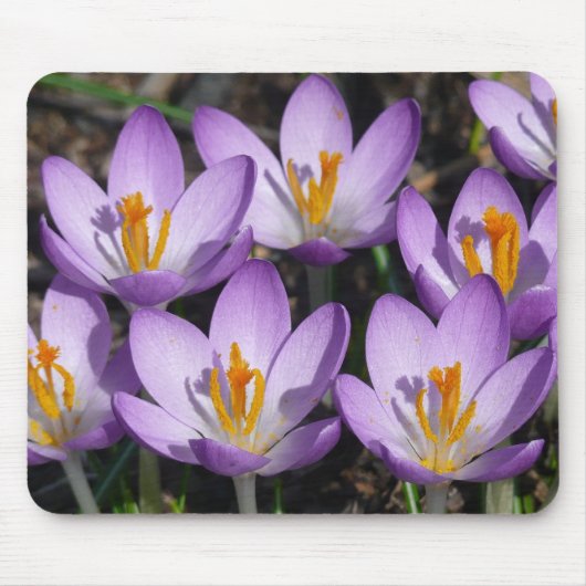 Sunny Paarse Crocuses Muismat (Voorkant)