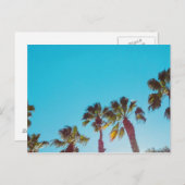 Sunny Palms Briefkaart (Voorkant / Achterkant)