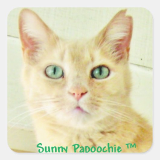 SUNNY PAPOOCHIE STICKERS (Devant)