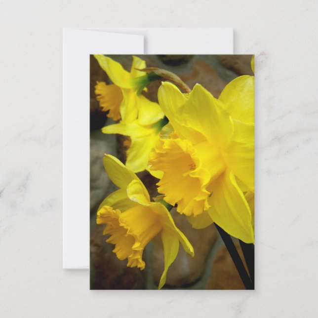 Sunny Petals (Voorkant)