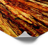 Sunny Redwood Trees Poster (Glossy) (Hoek)