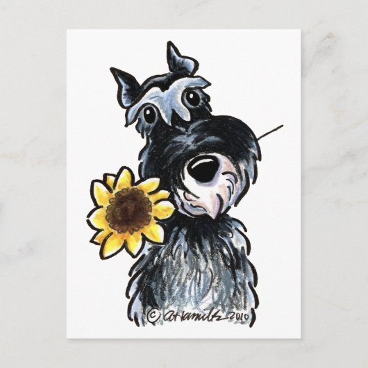 Sunny Schnauzer Classic Briefkaart (Voorkant)