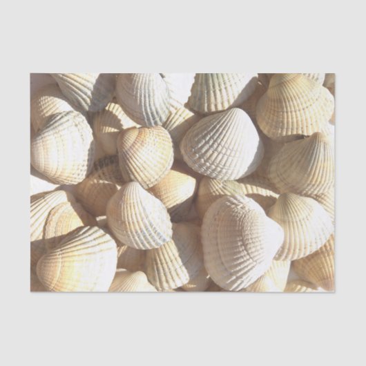 Sunny Seashells Collectie, Summer Beach, Tissue Tissuepapier (Voorkant)