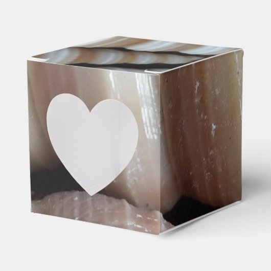 Sunny Seashells Favor Box, Summer Beach Wedding Bedankdoosjes (Voorkant Zijde)