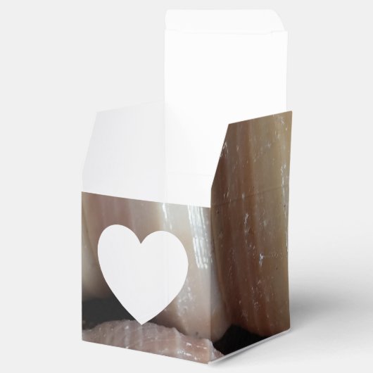 Sunny Seashells Favor Box, Summer Beach Wedding Bedankdoosjes (Geopend)