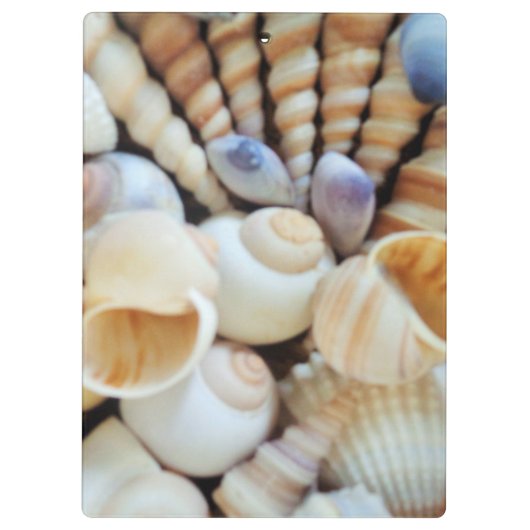 Sunny Seashells, Klembord, Summer Beach, Natuur Klembord (Achterkant)