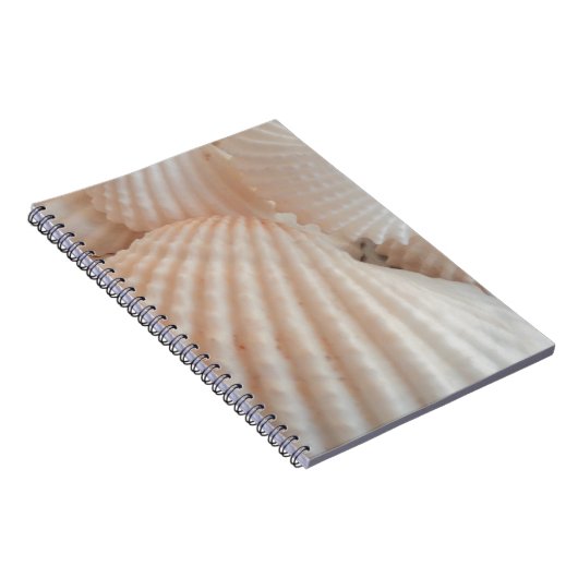 Sunny Summer Seashells. Romantisch, exotisch tropi Notitieboek (Rechterzijde)