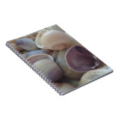 Sunny Summer Seashells, Zee Shell Beach Ocean Notitieboek (Rechterzijde)