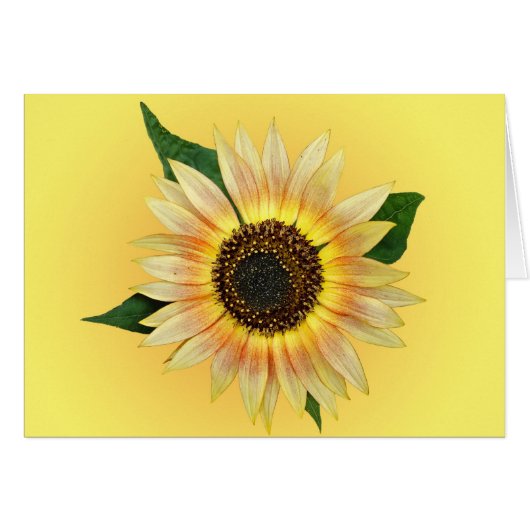 Sunny Sunflower (Devant horizontal)