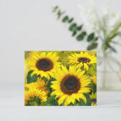 Sunny Sunflowers Briefkaart (Staand voorkant)