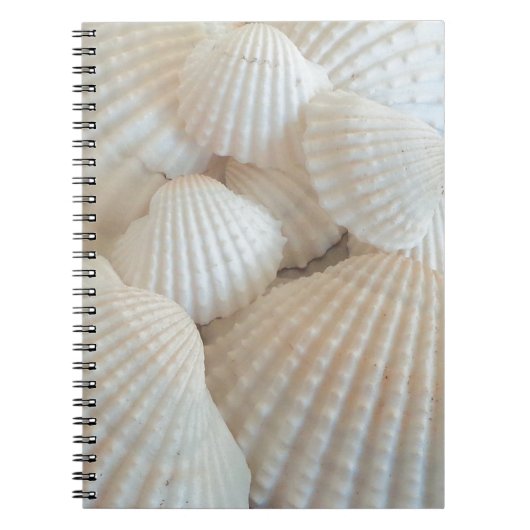 Sunny White Seashells, Summer Beach Exotic Notitieboek (Voorkant)