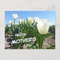 Sunny White Tulips Field Moederdag Briefkaart