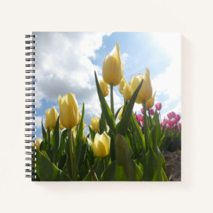 Sunny Yellow & Pink Tulpen met Blue Sky Notitieboe Notitieboek