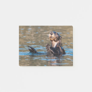 Sunny Zee Otter Post-it® Notes