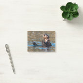 Sunny Zee Otter Post-it® Notes (Kantoor)