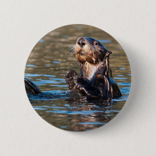 Sunny Zee Otter Ronde Button 5,7 Cm