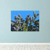 Sunnyvale Blues Canvas Afdruk (Insitu (Houten vloer))