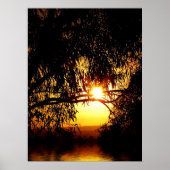 Sunrealisme: Ferntree Gully Poster (Voorkant)