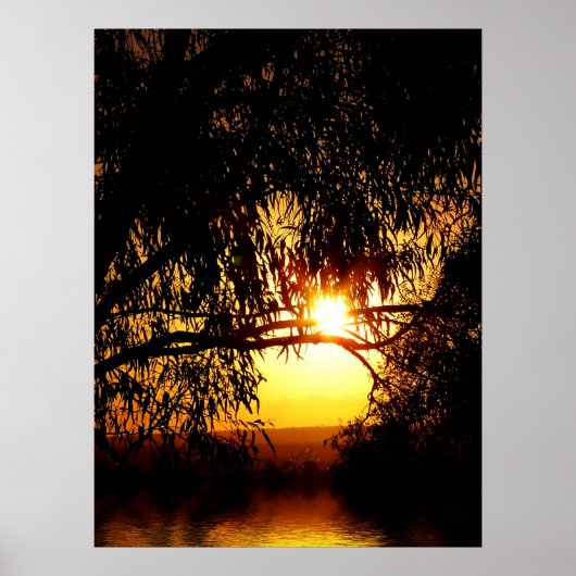 Sunrealisme: Ferntree Gully Poster (Voorkant)