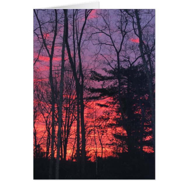 Sunrise (Voorkant)